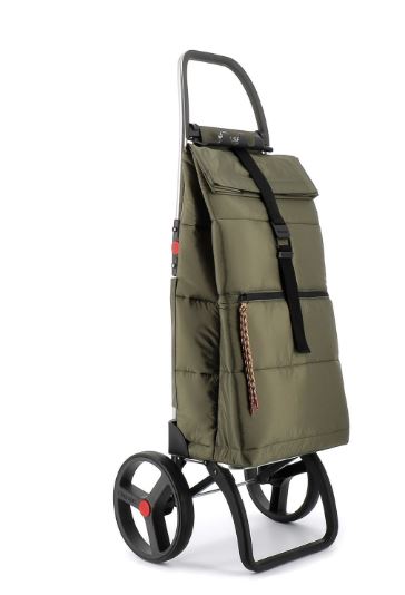 CARRO COMPRAS 2 RODAS BIG POLAR VERDE